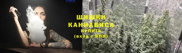 тгк Вяземский