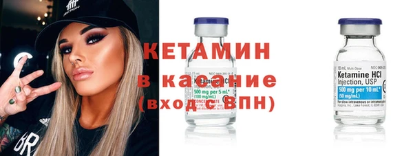 сатива Козловка