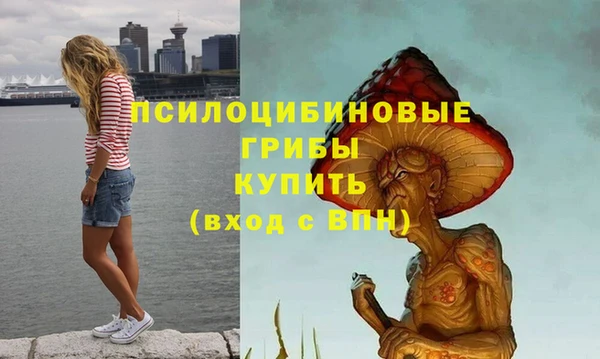 тгк Вяземский
