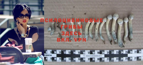 2c-b Вязники