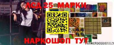 индика Бийск