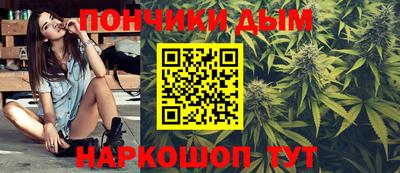 индика Бийск