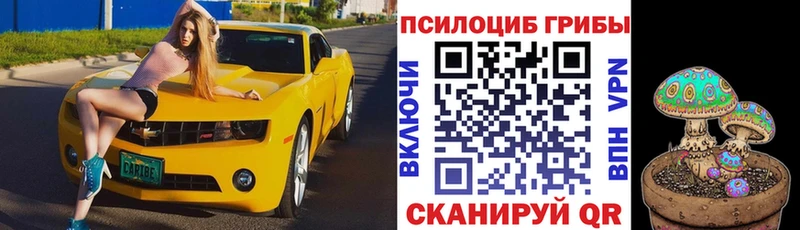 гидра зеркало  Железногорск  Галлюциногенные грибы Psilocybine cubensis 